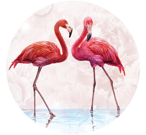 Behangcirkel Flamingo