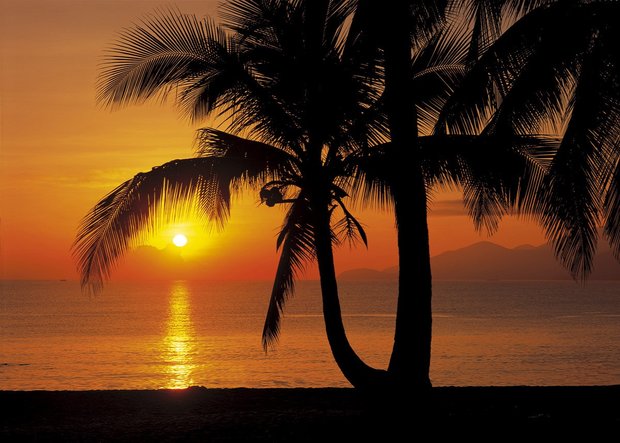 Fotobehang Palmy Beach Sunrise