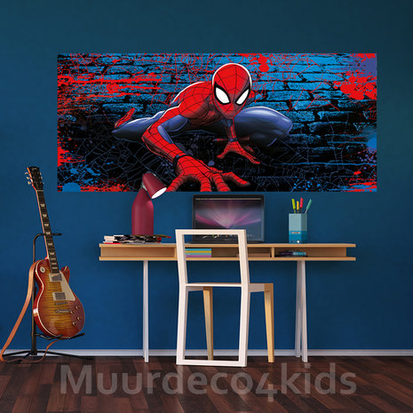 Spiderman poster H