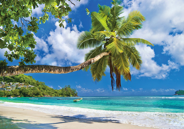 Strand behang Palmboom bij zee
