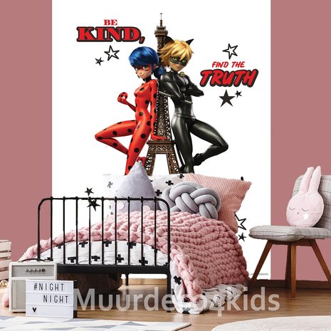 Miraculous poster Ladybug en Cat Noir