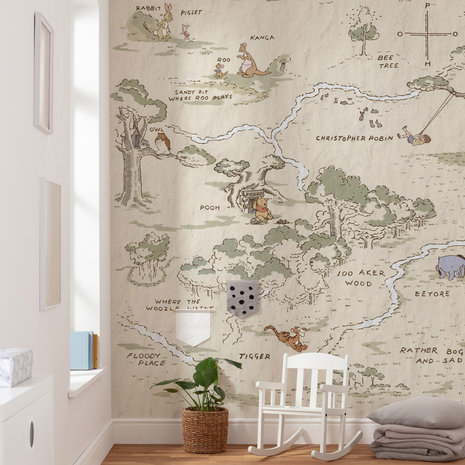 Winnie the Pooh behang Map