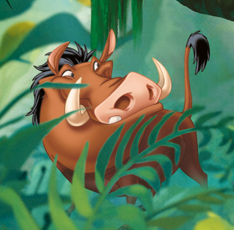 Lion King Jungle fotobehang XL