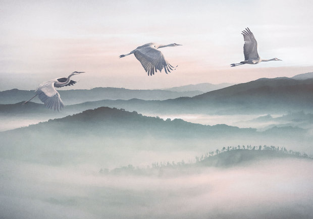 Kraanvogel behang Mystic Cranes