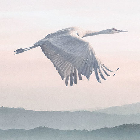 Kraanvogel behang Mystic Cranes