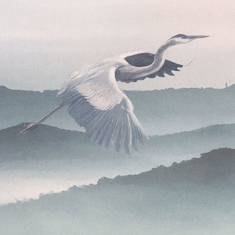 Kraanvogel behang Mystic Cranes