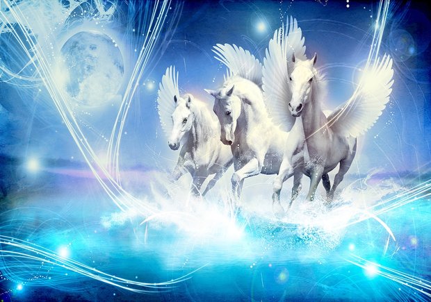 Paarden poster Pegasus Blauw 