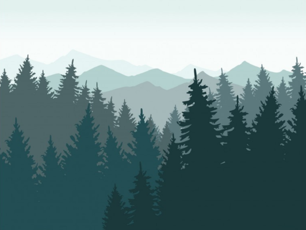 Bos en bergen Landschap behang XL