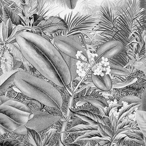 detail Jungle behang Roraima
