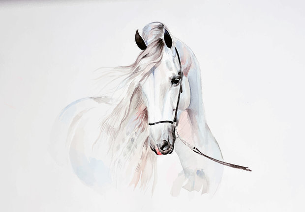 Paarden behang Aquarel paard