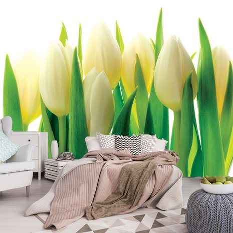 Witte tulpen behang