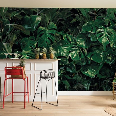 Tropical wall behang monstera