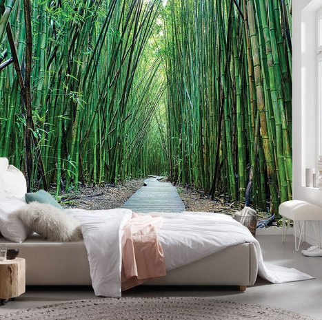 Bamboe bos behang