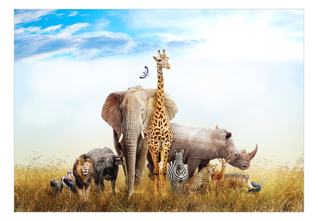 Jungledieren behang Fauna of Africa