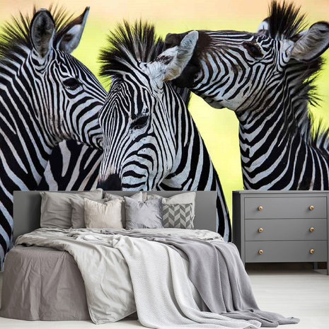 Zebra behang