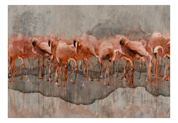 Flamingo Lake behang 