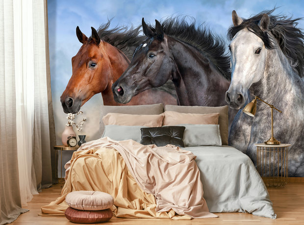 Paarden behang Trio