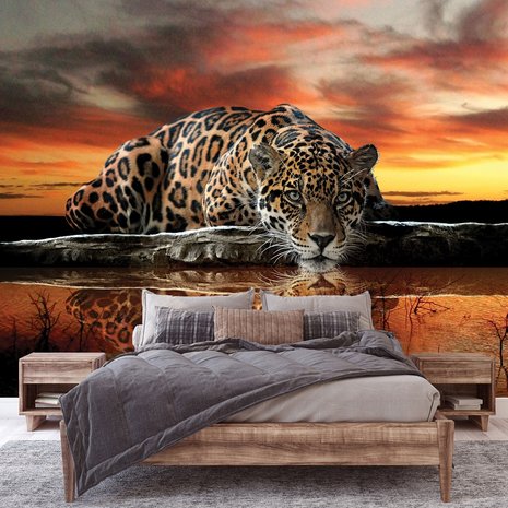 Jungle fotobehang Jaguar