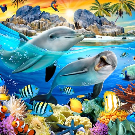 Dolfijnen behang onderwater