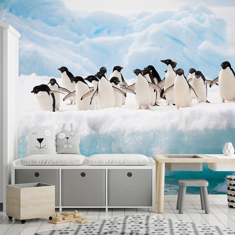 Fotobehang Pinguins op ijs