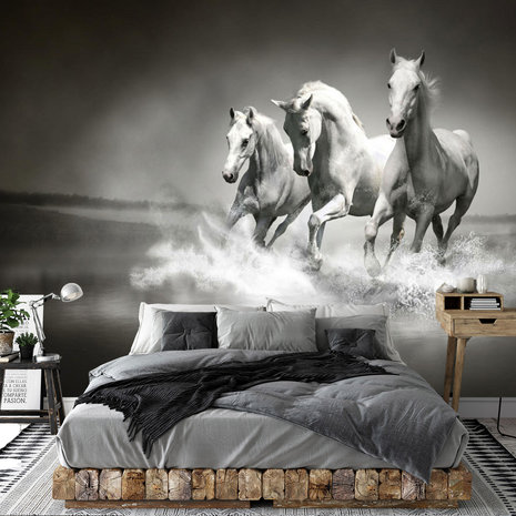 Kwadrant bovenstaand Hoe dan ook Paarden fotobehang zwart/wit | Muurdeco4kids