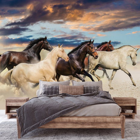 Paarden behang kudde paarden in galop