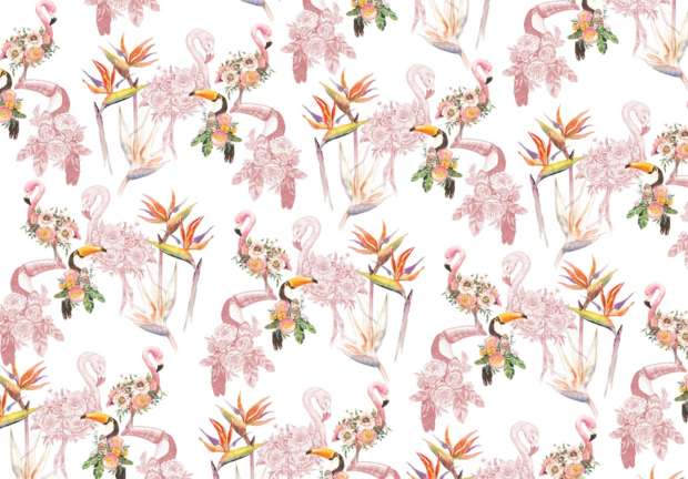 Flamingo behang Toekan
