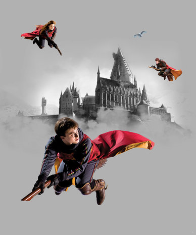 Harry Potter behang Hogwarts