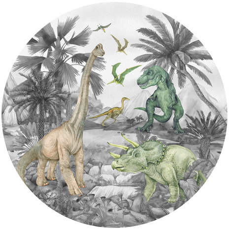Muurcirkel Dinosaurus Dinoland GC1