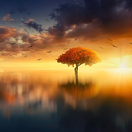 Fantasy fotobehang Sunset Tree