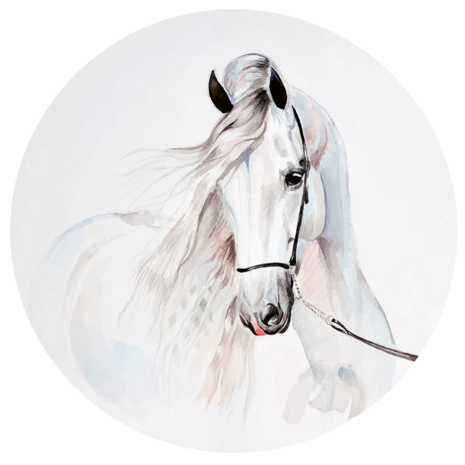 Behangcirkel Aquarel Paard