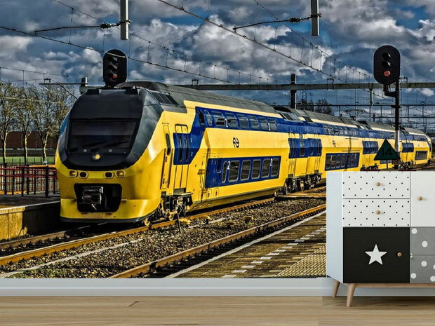 NS Trein fotobehang II VINYL