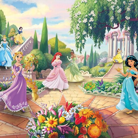 Disney Princess behang Park