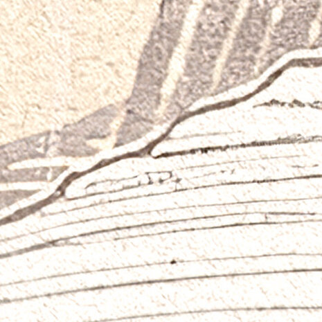 Detail Palmbladeren fotobehang Summery Spot