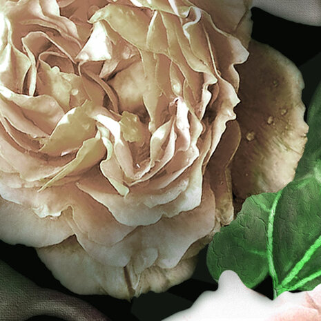 Victoria Black detail