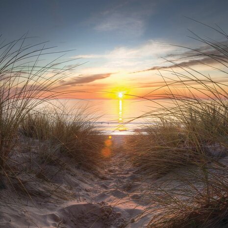 Strand behang Zonsondergang III