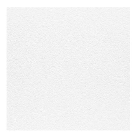 Onderwater VINYL fotobehang Sealife
