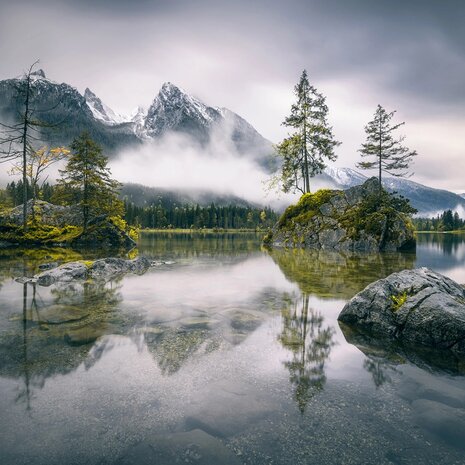 Landschap fotobehang Forest Lake XL