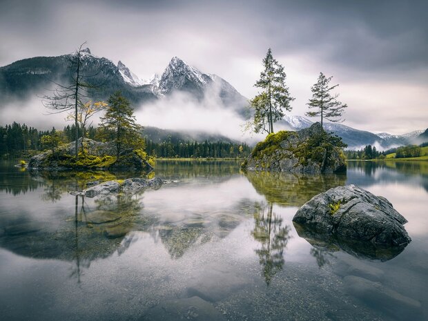 Landschap fotobehang Forest Lake XL