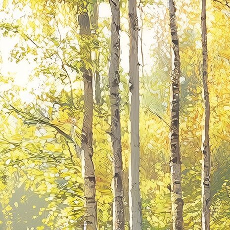 Zonnig Berkenbos fotobehang V89