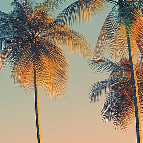 Palmbomen fotobehang V75