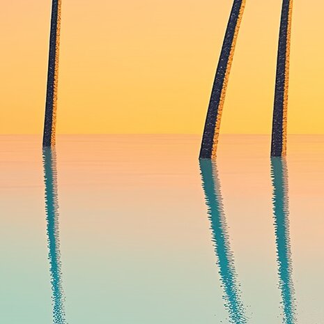 Palmbomen fotobehang V75