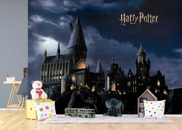 Harry Potter fotobehang Hogwarts XL