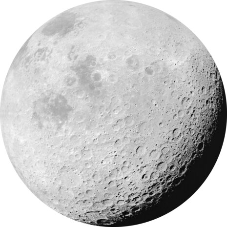 Muurcirkel Luna