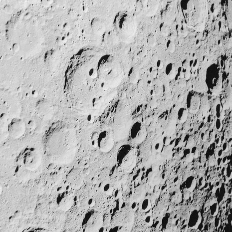 Muurcirkel Luna