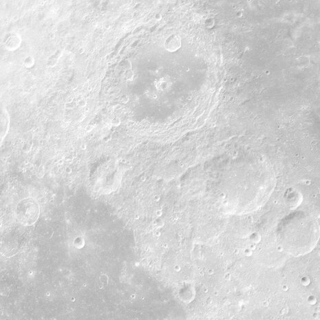 Muurcirkel Luna