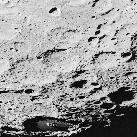 Muurcirkel Luna