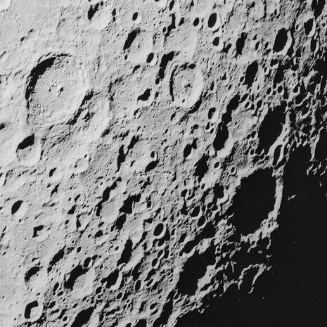 Muurcirkel Luna