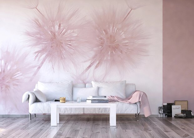 Paardenbloem fotobehang XL Roze