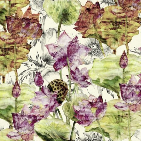 Lotus bloemen fotobehang